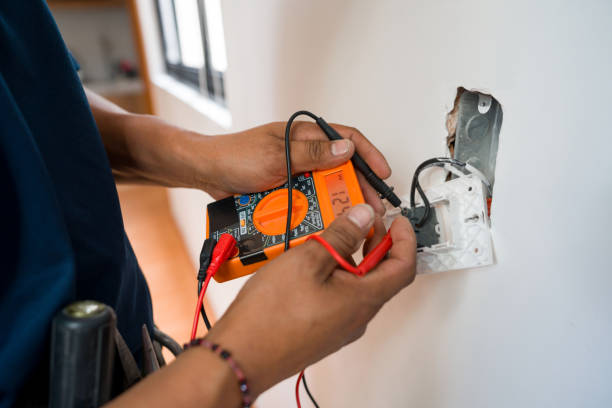 Best Electric Panel Repair  in Windsor, IL