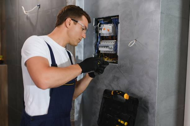 Best Electric Panel Repair  in Windsor, IL