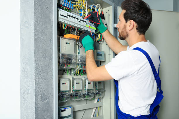 Best Electrical System Inspection  in Windsor, IL